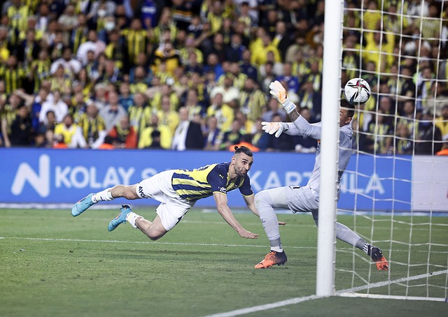 力市场的稳 力市场的稳