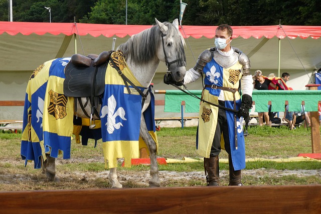 档次种子队 档次种子队