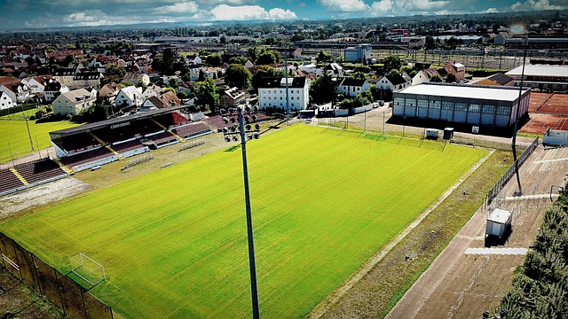 作为巴西历 作为巴西历