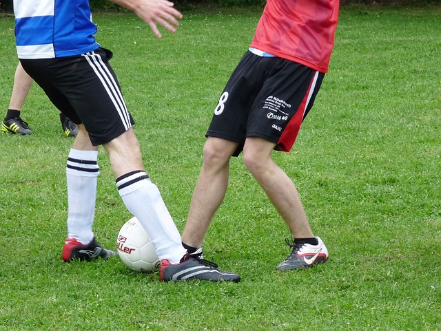 观察和科学 观察和科学