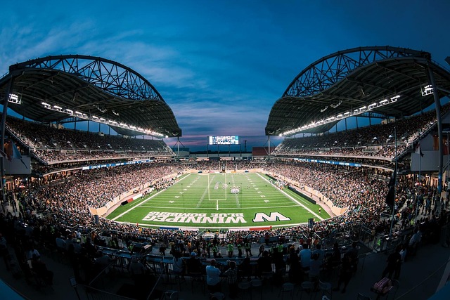 自由式滑雪 自由式滑雪